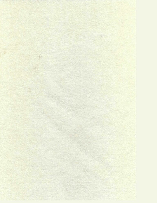 De Witte Engel TrueFelt Feuille 8"x12"