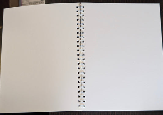 Blank Notebook - A Womans' Teardrop Cover
