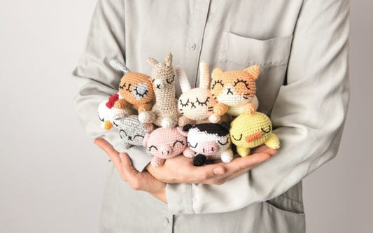 Pocket Pals (Anglais) - Livre de modèles Ricorumi DK