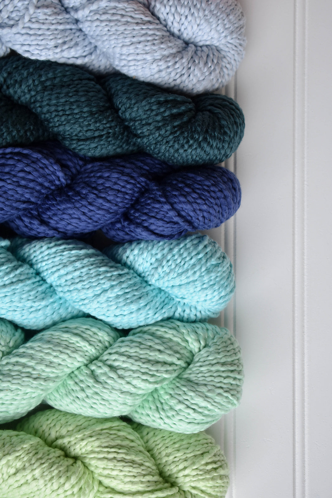 Universal Cotton Supreme Sapling