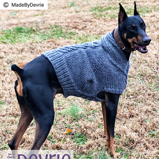 Dress Your Pet in Something Cozy This Winter