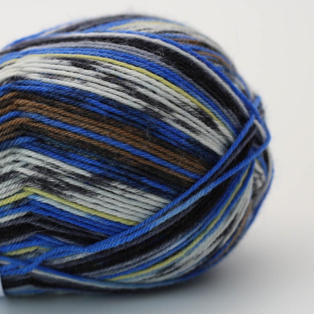 Arne & Carlos Socks & More 4-Ply