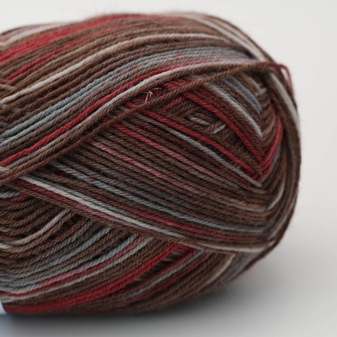 Arne & Carlos Socks & More 4-Ply