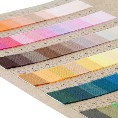 Carte d'échantillons de couleurs Scheepjes - Catona