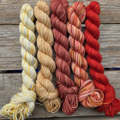 Koigu Paint Cans - Fall Series 2026