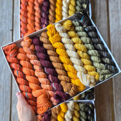 Koigu Pencil Box - Fall 2026