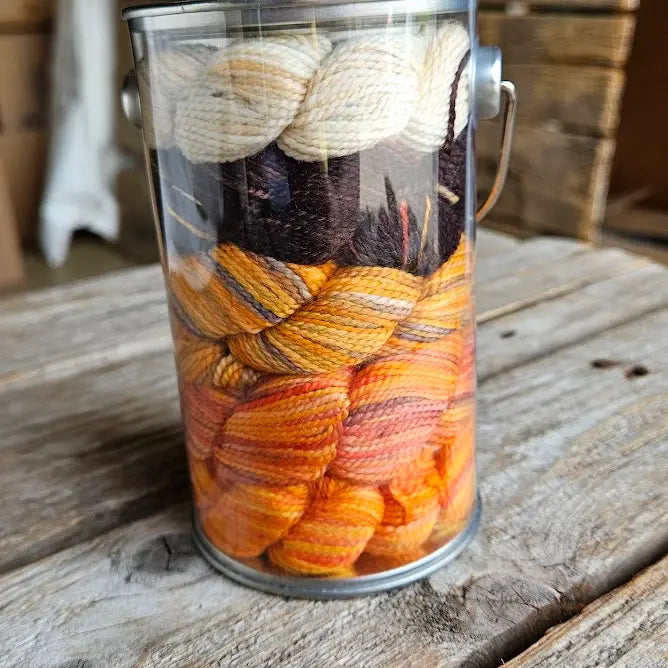 Koigu Paint Cans - Fall Series 2026