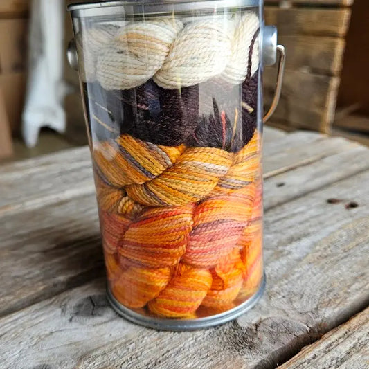 Koigu Paint Cans - Fall Series 2026