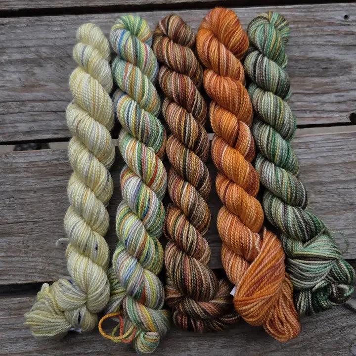 Koigu Paint Cans - Fall Series 2026