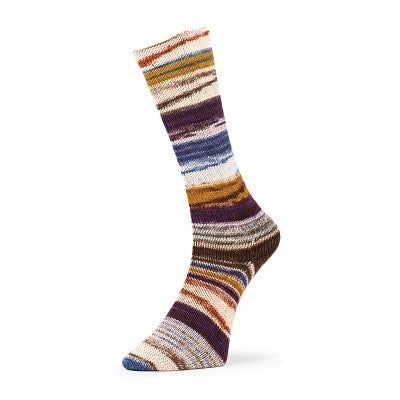 Evolution Chroma Sock