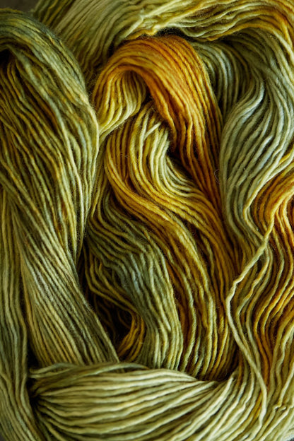 Photo of Gusto Wool Olio yarn in colour 2301