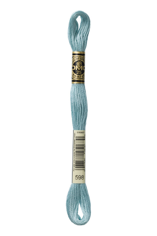 DMC Embroidery Floss 598