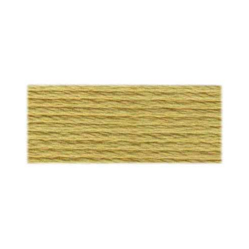 DMC Embroidery Floss 3046