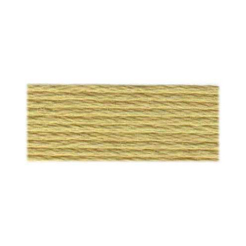 DMC Embroidery Floss 3047