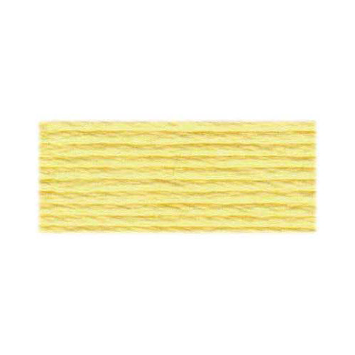 DMC Embroidery Floss 3078