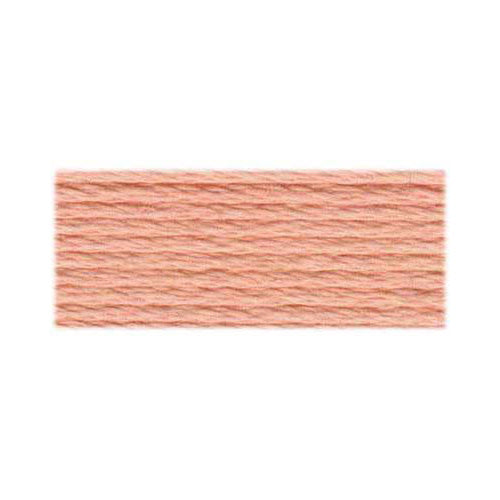 DMC Embroidery Floss 3779