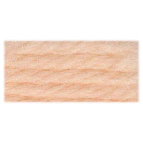 DMC Tapestry Wool 7171