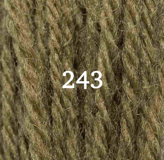 Appletons Tapestry Yarn Hank 243 5g